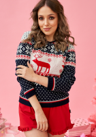 Svar - navy deer sweater