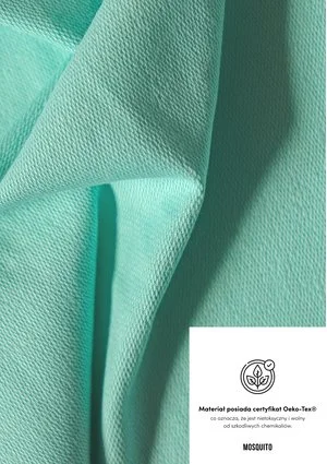 Mint sweat shorts
