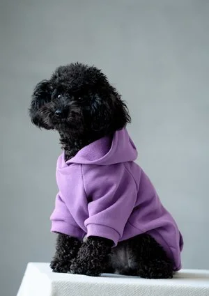 Bluza dla psa z kapturem Grape Fruit