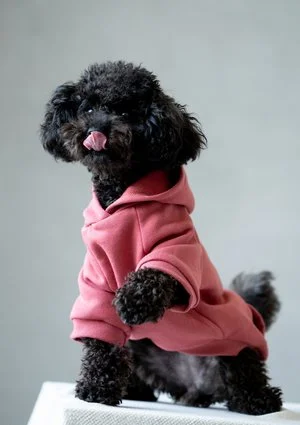 Dog hoodie Dusty Rose