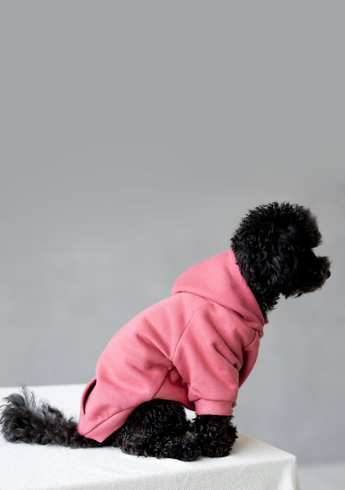 Dog hoodie Dusty Rose