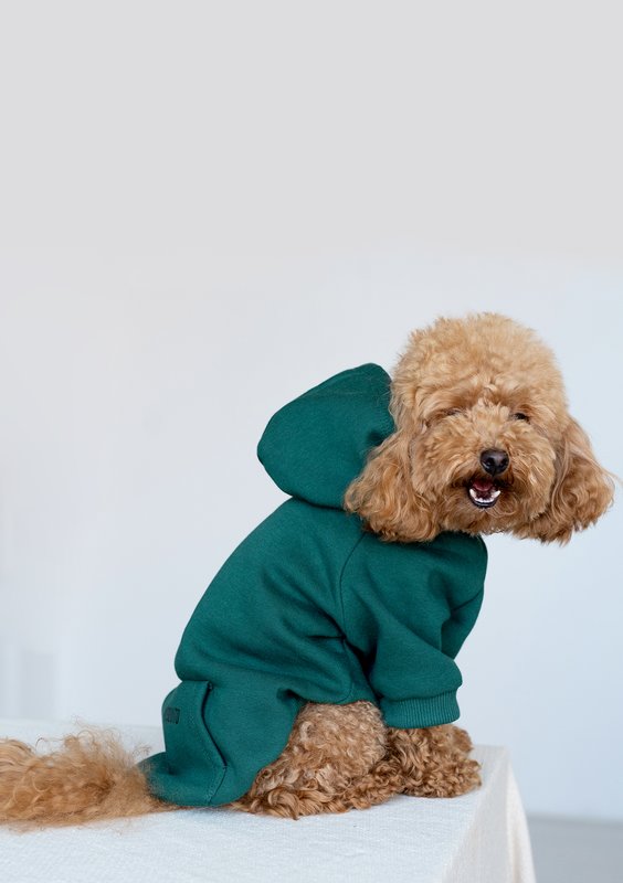 Dog hoodie Deep Green