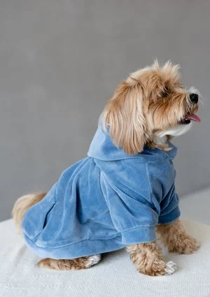 Welurowa bluza dla psa z kapturem Jeans Blue