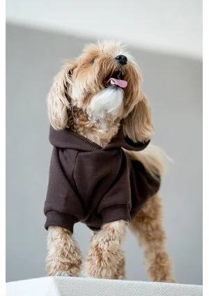 Bluza dla psa z kapturem Dark Brown