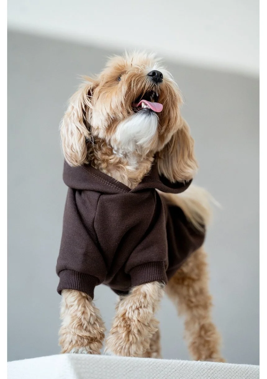 Bluza dla psa z kapturem Dark Brown