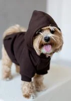 Venice - dark brown dog hoodie