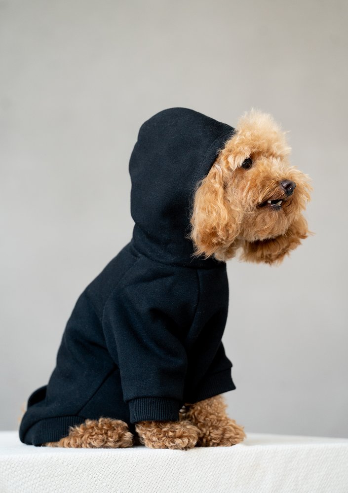 Dog hoodie Black