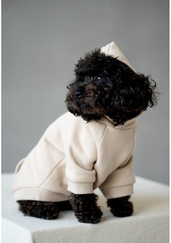 Dog hoodie Sand Beige