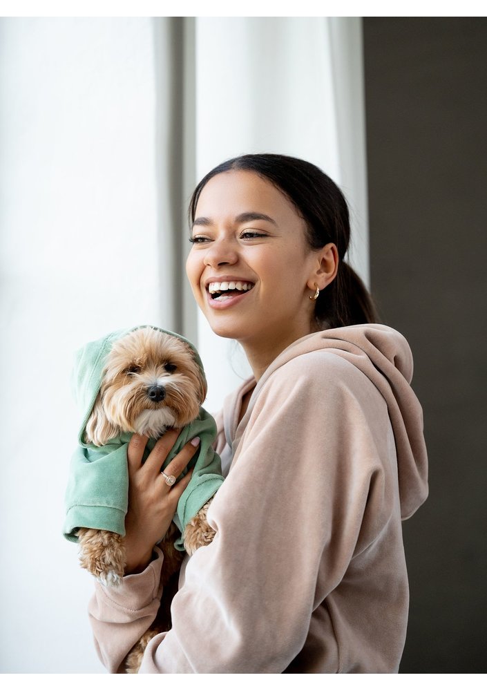 Dog velvet hoodie Smoke Mint