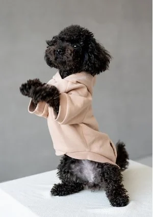 Bronx - Bluza dla psa z kapturem Warm Taupe