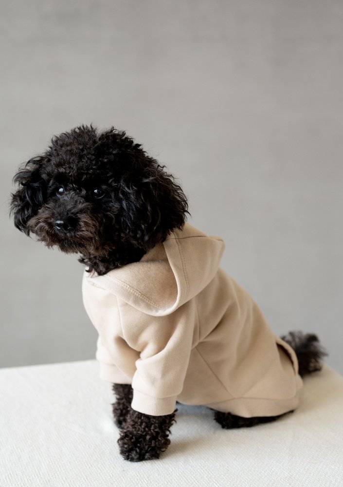 Dog hoodie Sand Beige