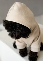 Venice - sand beige dog hoodie