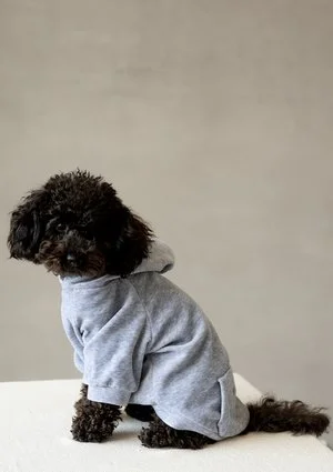 Welurowa bluza dla psa z kapturem Melange