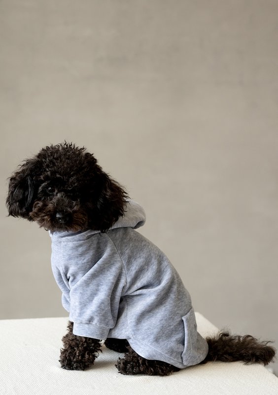 Dog velvet hoodie Melange