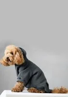 Pure - dark stone dog hoodie