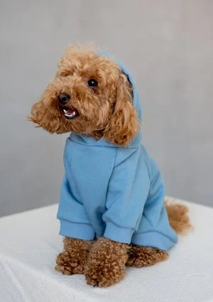 Dog hoodie Faded Denim