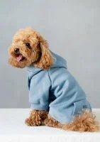 Miami - faded denim dog hoodie