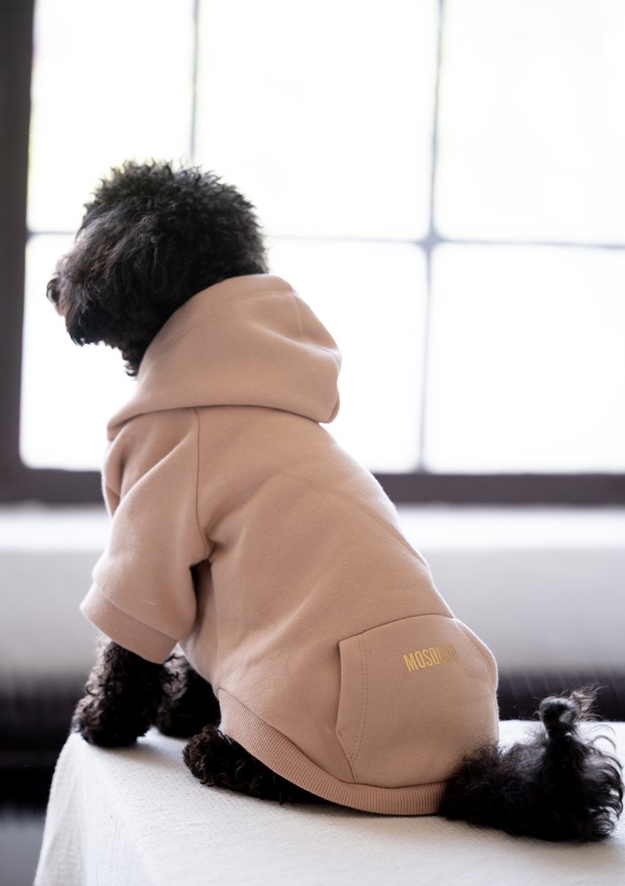 Dog hoodie Beige