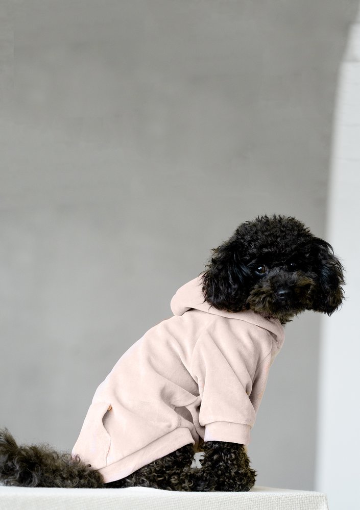 Dog velvet hoodie Coffee Latte