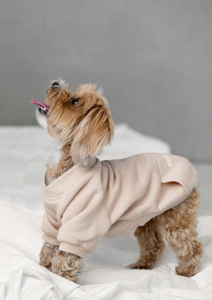 Dog hoodie Warm Sand