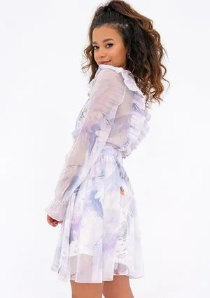 Rosalia - beige chiffon mini dress with a swan print