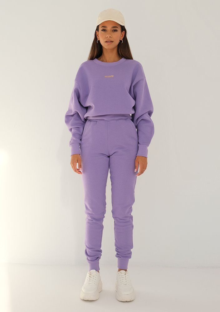Venice - grape fruit violet sweatshirt