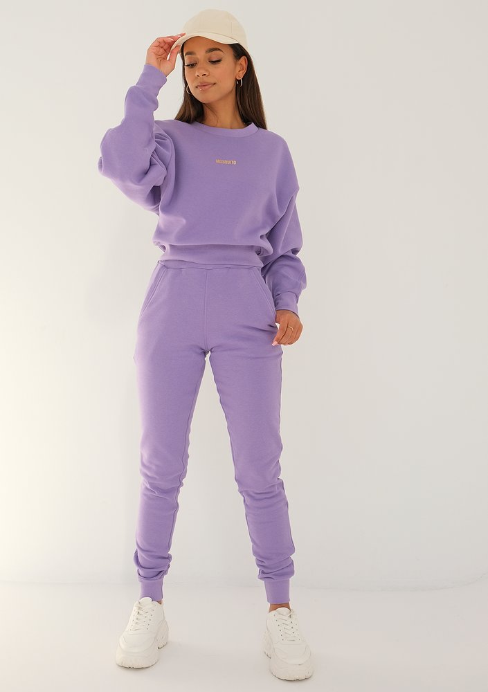 Venice - grape fruit violet sweatshirt