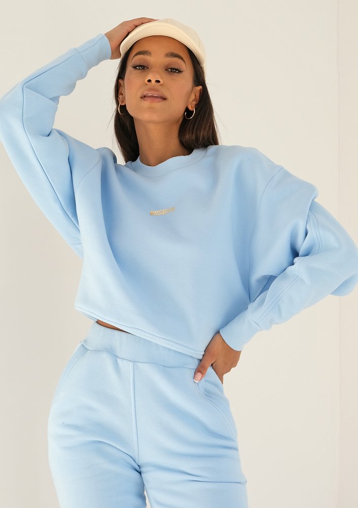 Venice - baby blue sweatshirt