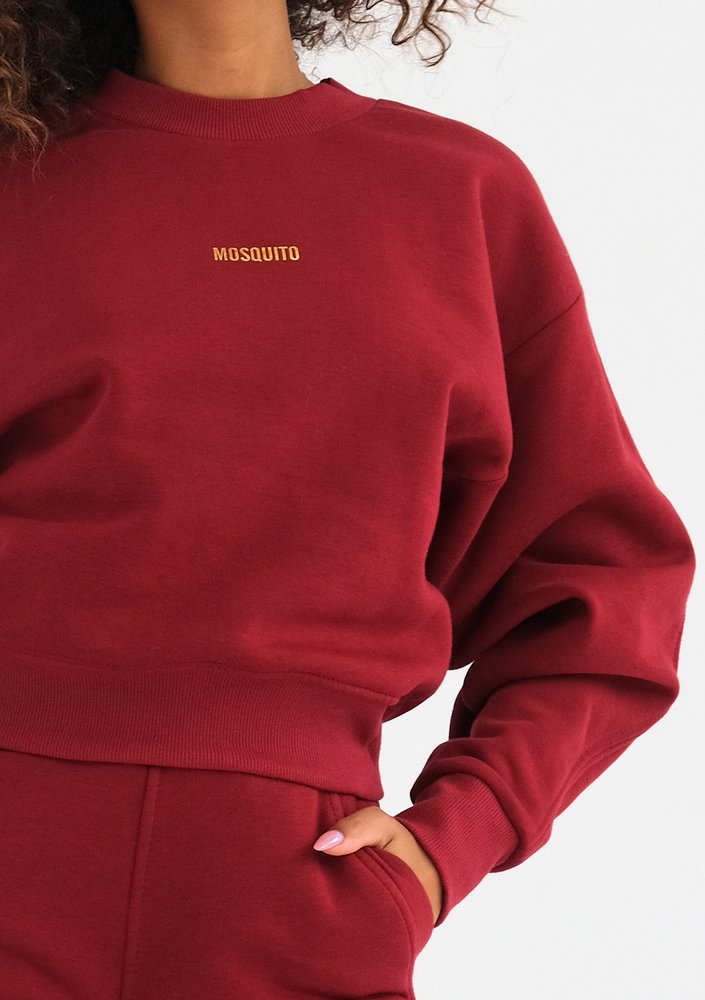 Venice - Biking red sweatshirt