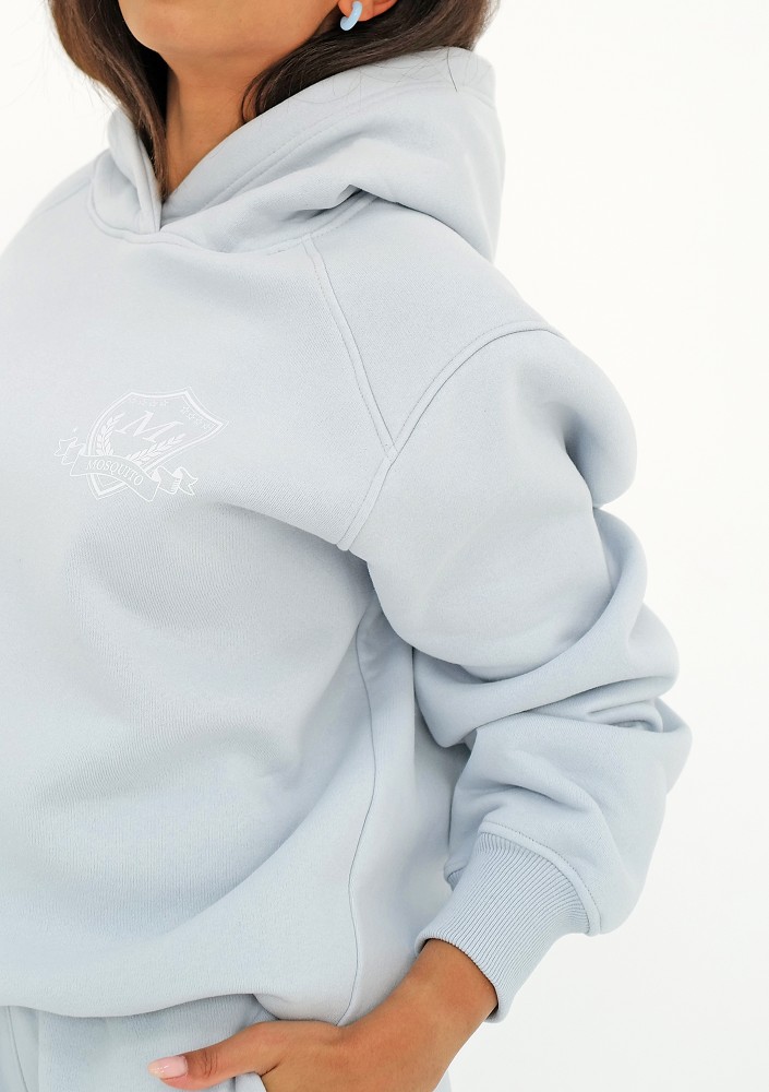 Embly - Light blue hoodie