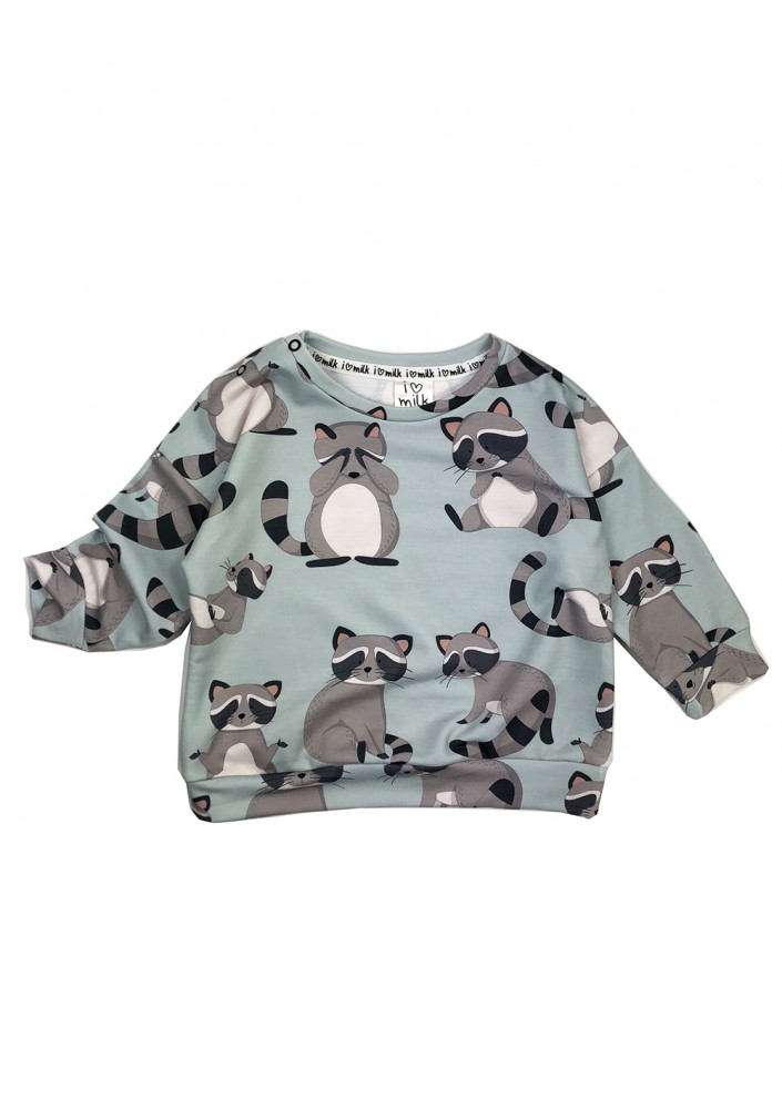 Raccoon printed kids sweatshirt