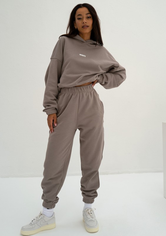 Icon - Spodnie dresowe Simply Taupe