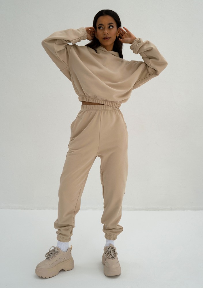 Icon - Bluza z kapturem i ściągaczem Sand Beige