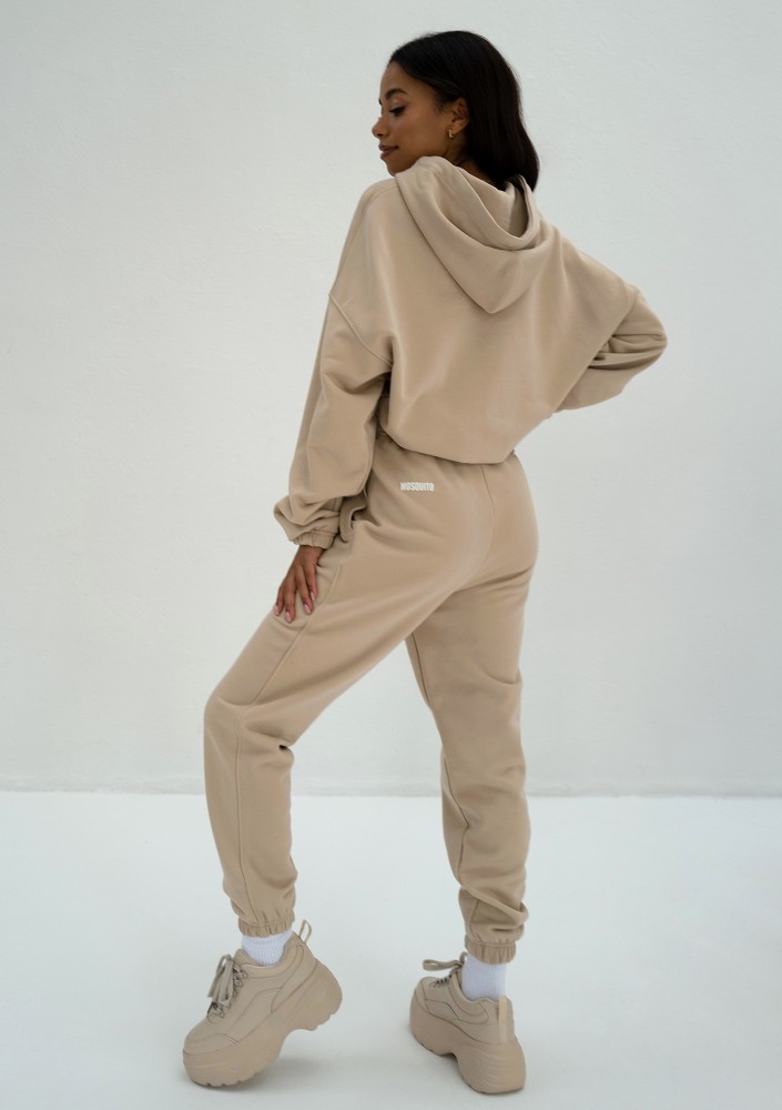 Icon - Bluza z kapturem i ściągaczem Sand Beige