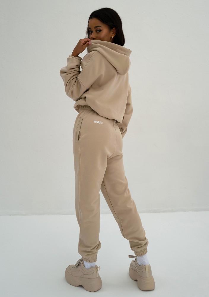 Icon - Bluza z kapturem i ściągaczem Sand Beige