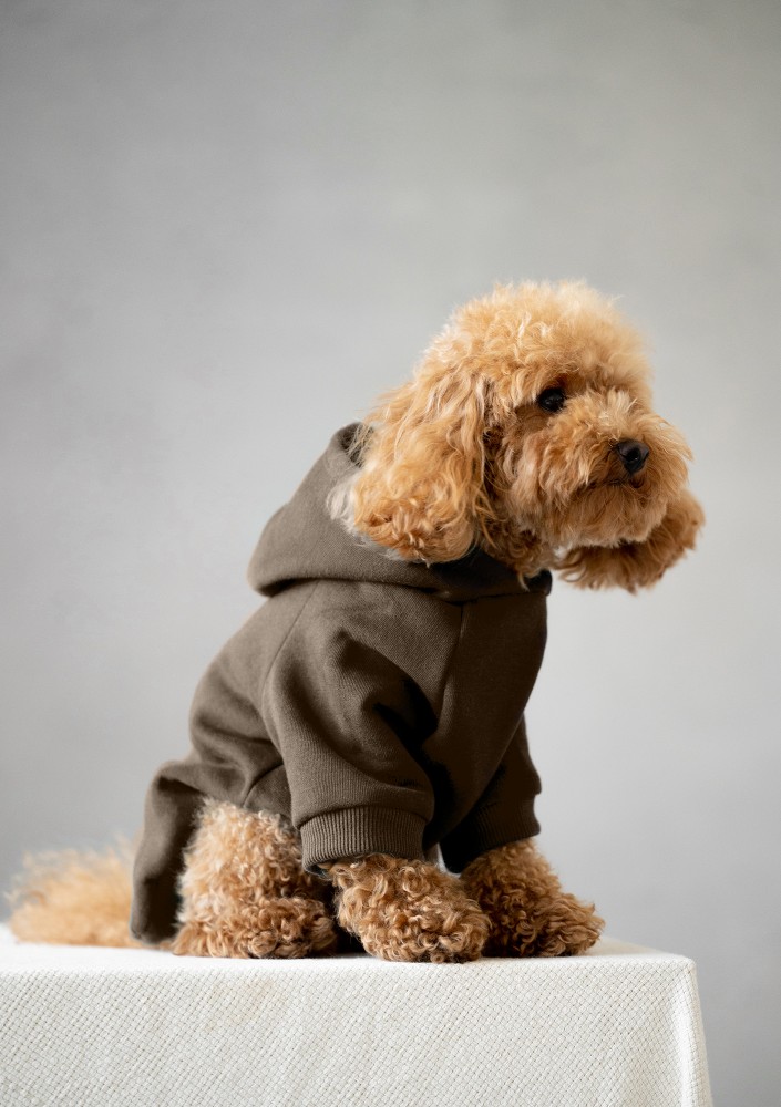 Pure - Brown dog hoodie