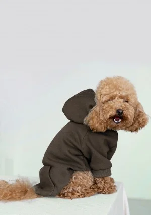 Pure - Savannah tan brown dog hoodie