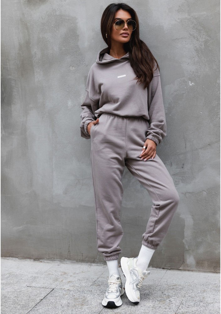 Icon - Bluza z kapturem i ściągaczem Simply Taupe