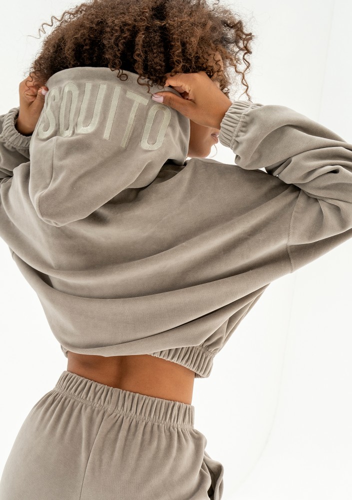 Icon Velvet - Taupe velour hoodie with a logo