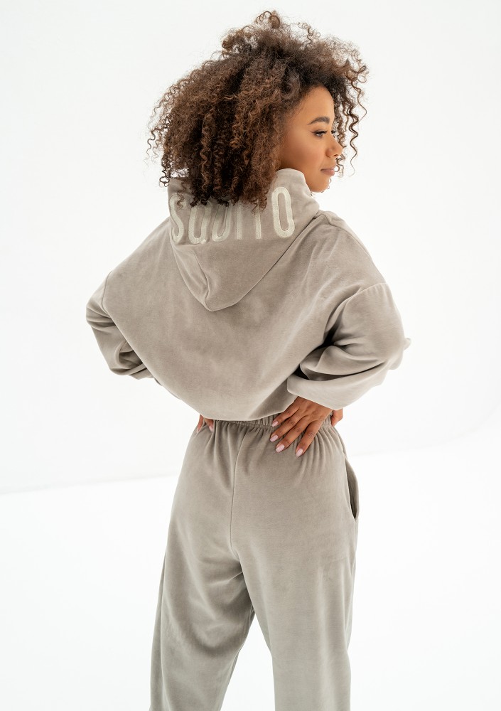 Icon Velvet - Taupe velour hoodie with a logo