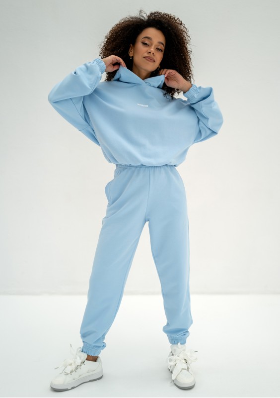 Icon - Bluza z kapturem i ściągaczem Baby Blue
