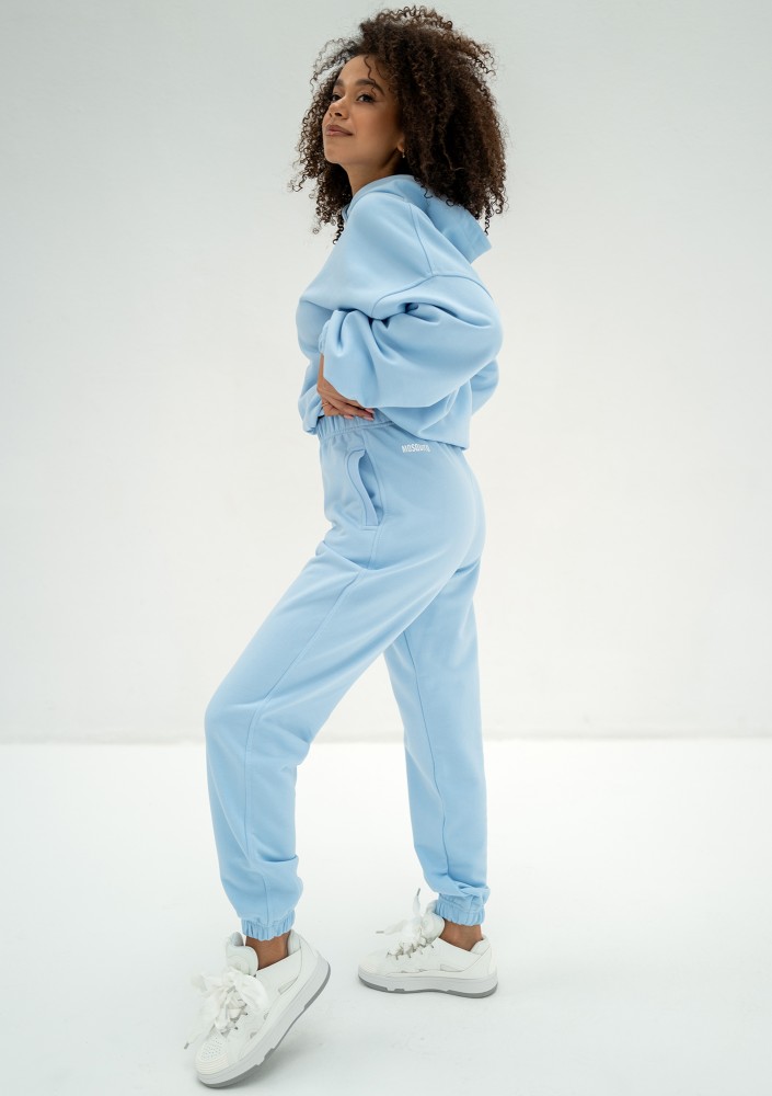 Icon - Baby blue hoodie