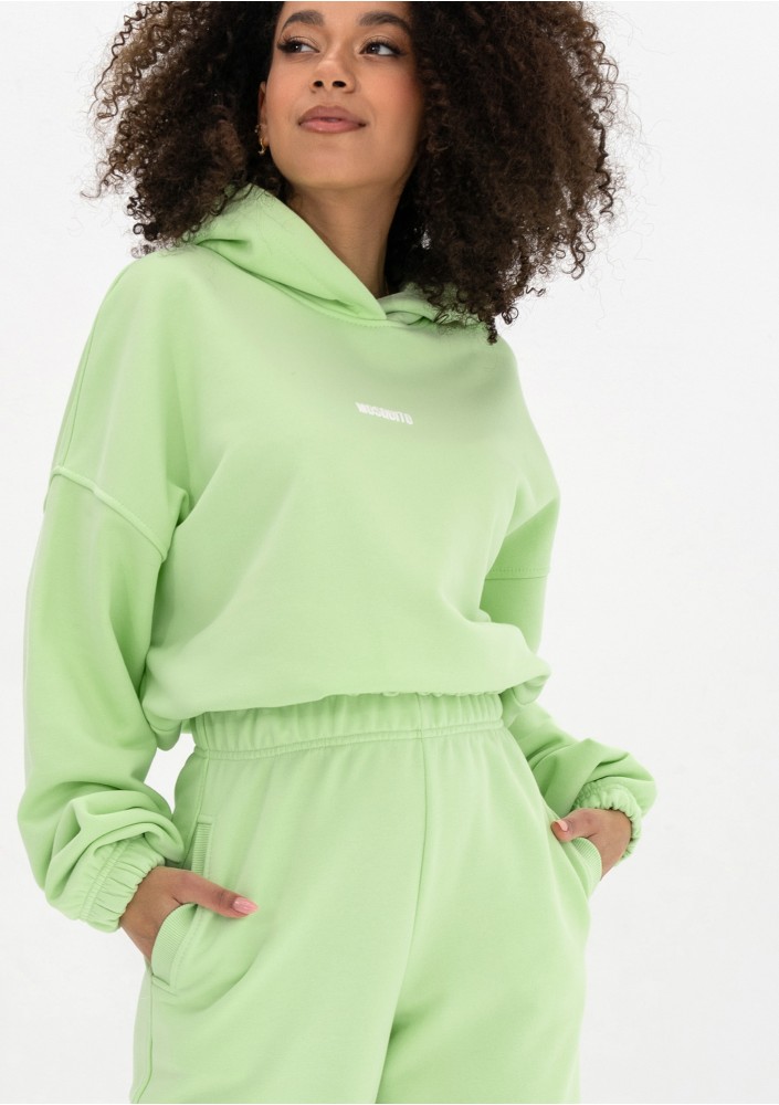Icon - Bluza z kapturem i ściągaczem Lime Green