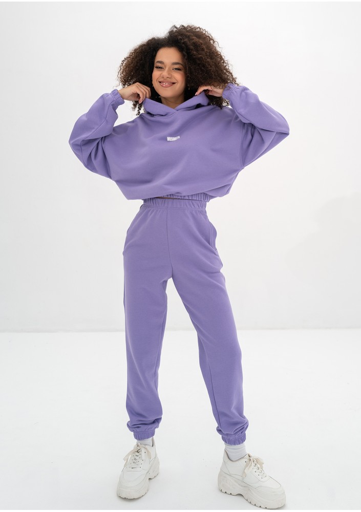 Icon - Bluza z kapturem i ściągaczem Grape Fruit