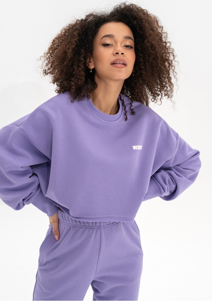 Shore Crop - Grape fruit violet crop oversize sweatshirt