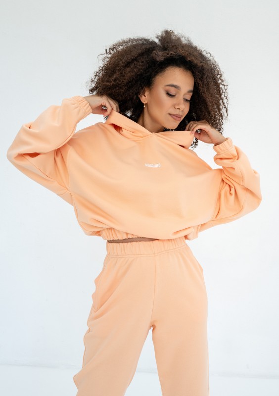 Icon - Bluza z kapturem i ściągaczem Peach Fuzz