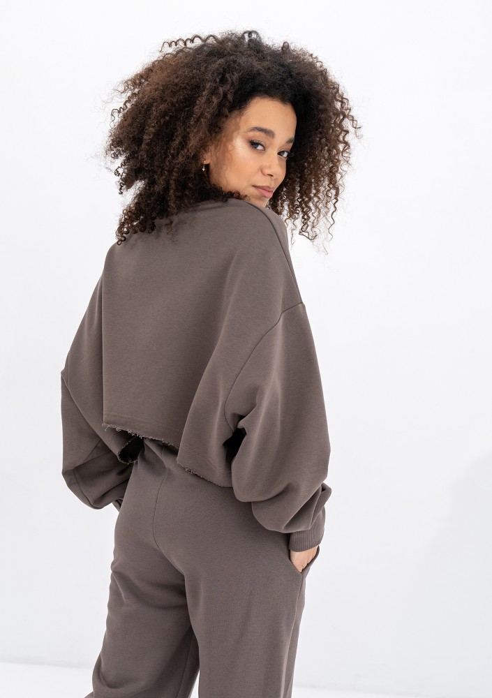 Shore Crop - Savannah tan brown crop oversize sweatshirt