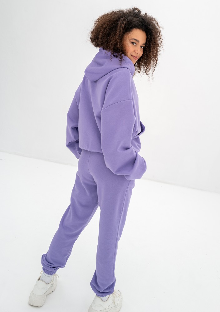 Bane - Grape fruit violet oversize zipped hoodie