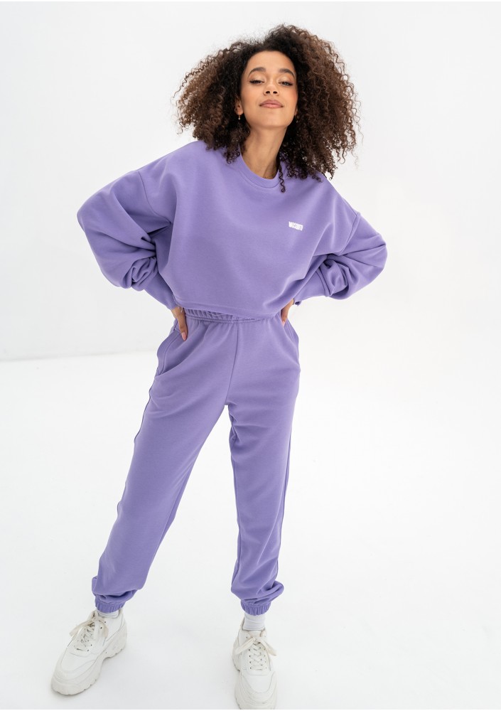 Shore Crop - Grape fruit violet crop oversize sweatshirt