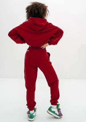 Icon - Bluza z kapturem i ściągaczem Cherry Red